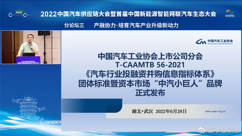 汽車行業(yè)投融資新動向 中汽小巨人品牌發(fā)布與網(wǎng)絡融資信息咨詢服務深度融合