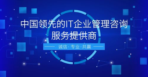 信息系統(tǒng)建設(shè)與服務(wù)體系評估 網(wǎng)絡(luò)融資信息咨詢的核心價值