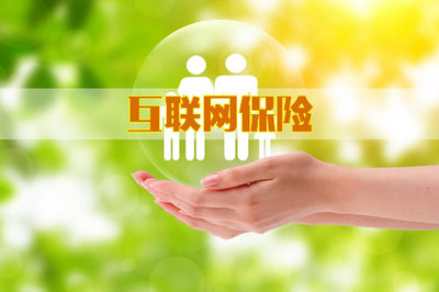 互聯網保險與網絡融資信息咨詢服務的融合與發展